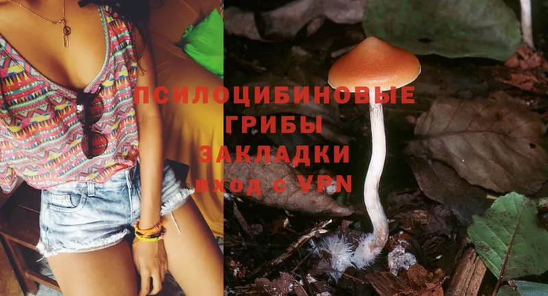 Галлюциногенные грибы Psilocybine cubensis  как найти наркотики  Выборг 